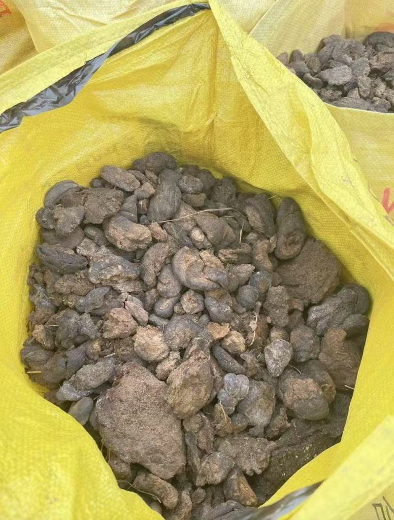四川风干优质牛粪，有机干牛粪，纯干无水分，对接种植基地农户