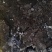 【种植】发酵牛粪，一手货源，品质保障，量大从优