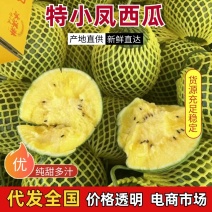 特小凤西瓜江苏特小凤西瓜皮薄多汁基地直供对接全国市场