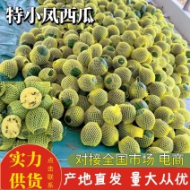 特小凤西瓜江苏特小凤西瓜大量供应包熟包甜代发全国