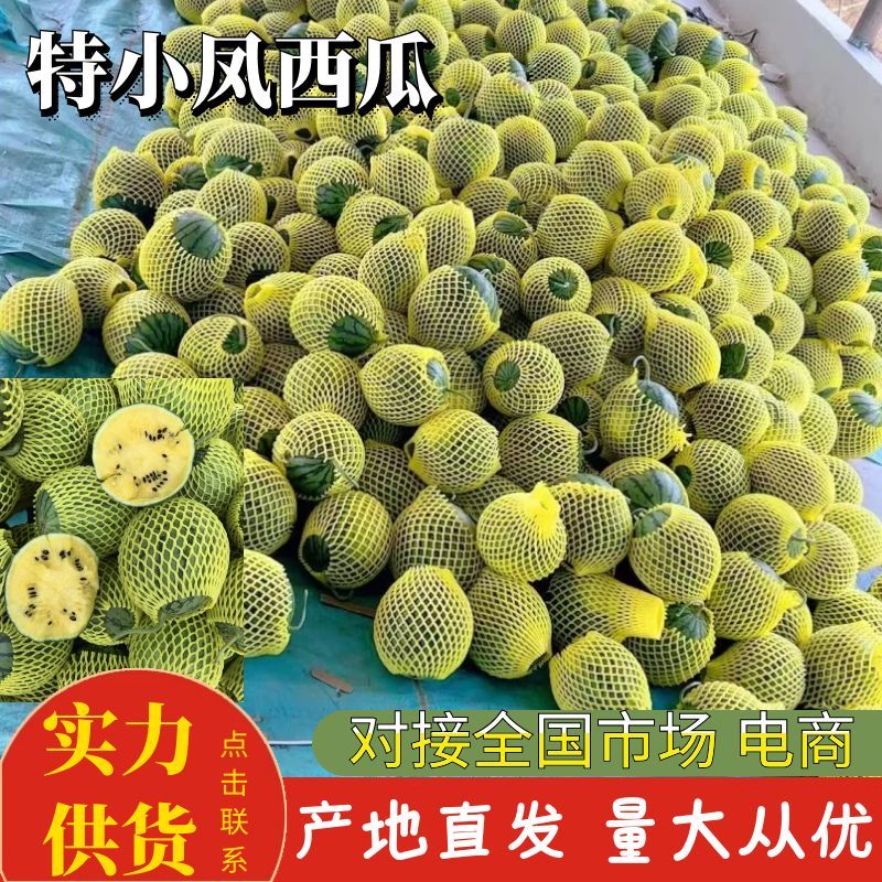 特小凤西瓜江苏特小凤西瓜大量供应包熟包甜代发全国