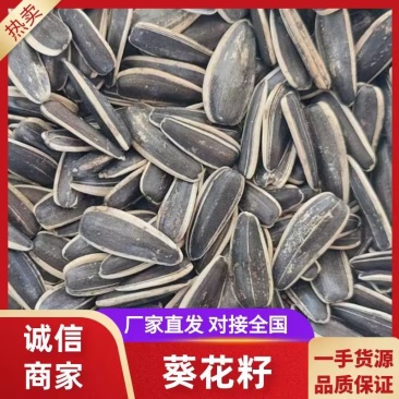 瓜子生熟都有葵花籽全国发货整车发货电商团购工厂货欢迎选购