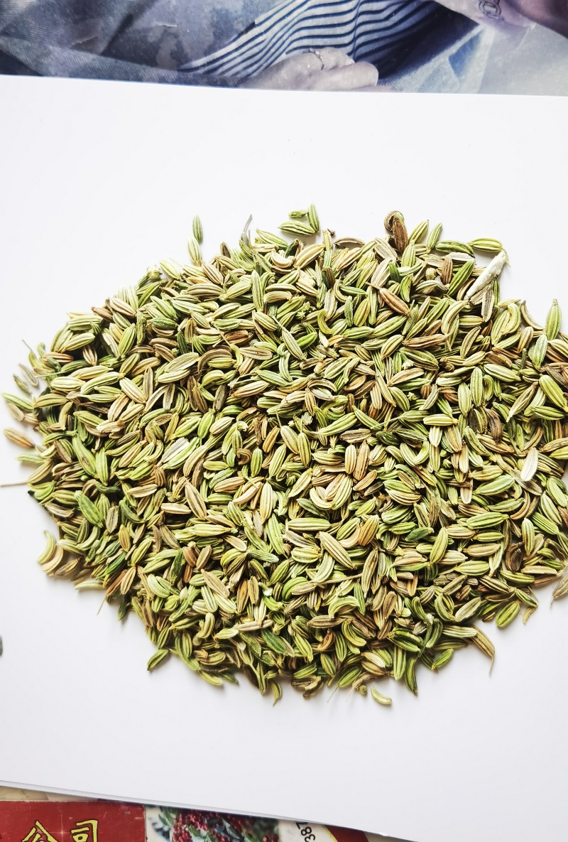 小茴香甘肃民勤产地直销！品质保证货源充足、量大从优
