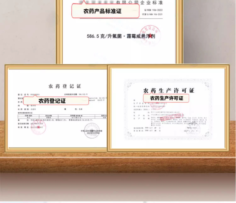 586.5克/升氟菌·霜霉威内吸性杀菌剂黄瓜霜霉病农药