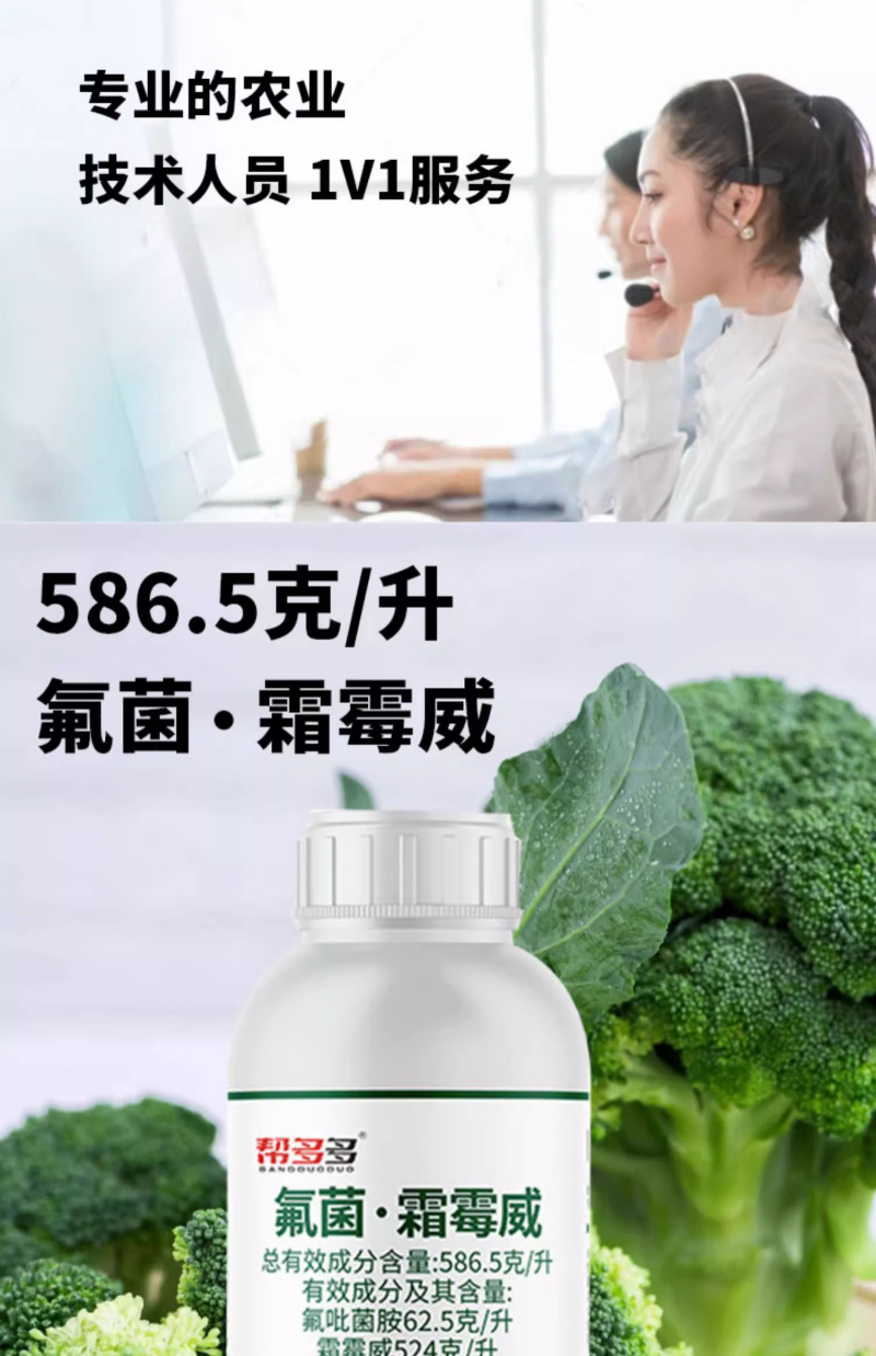 586.5克/升氟菌·霜霉威内吸性杀菌剂黄瓜霜霉病农药