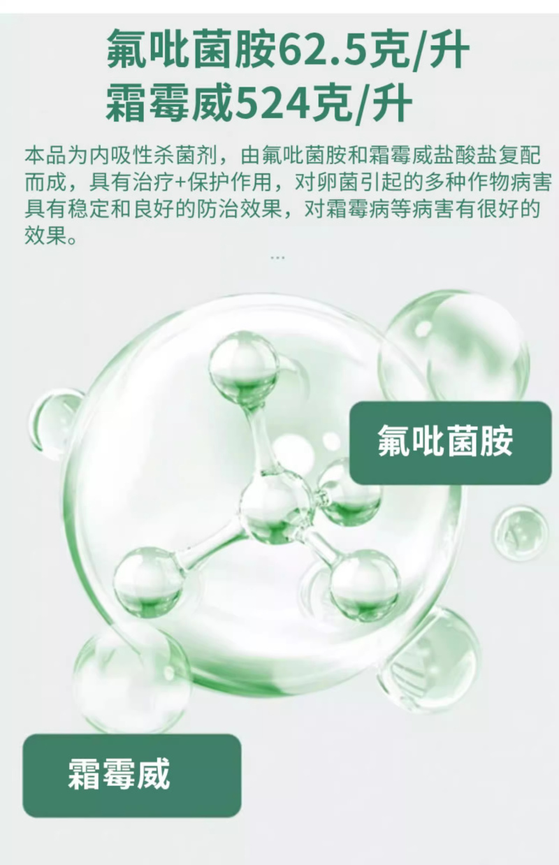 586.5克/升氟菌·霜霉威内吸性杀菌剂黄瓜霜霉病农药