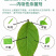 586.5克/升氟菌·霜霉威内吸性杀菌剂黄瓜霜霉病农药