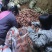 山东邹城济薯26板栗薯对接电商市场超市保质保量