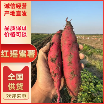 天津精品红瑶蜜薯榴莲蜜薯岳龙红瑶日系红瑶52度