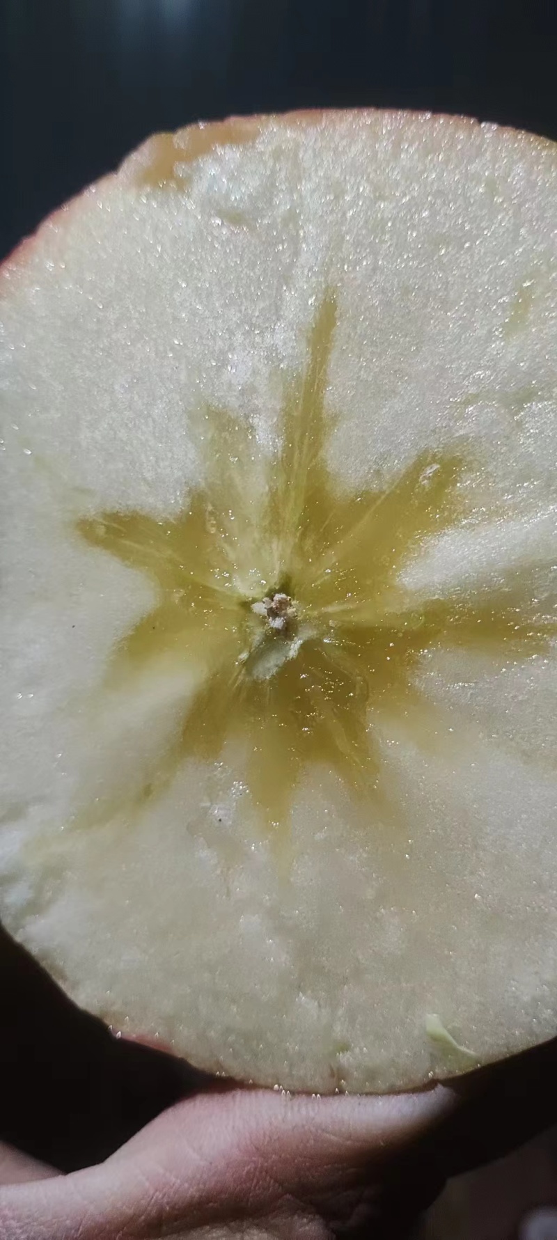 【阿克苏苹果】正宗新疆苹果冰糖心大小果都有按需求分拣打包