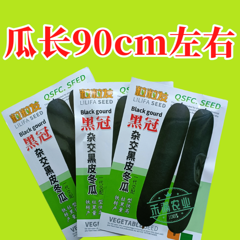 黒冠杂交黑皮冬瓜种子广东广西特大巨型高产铁柱型黑皮冬
