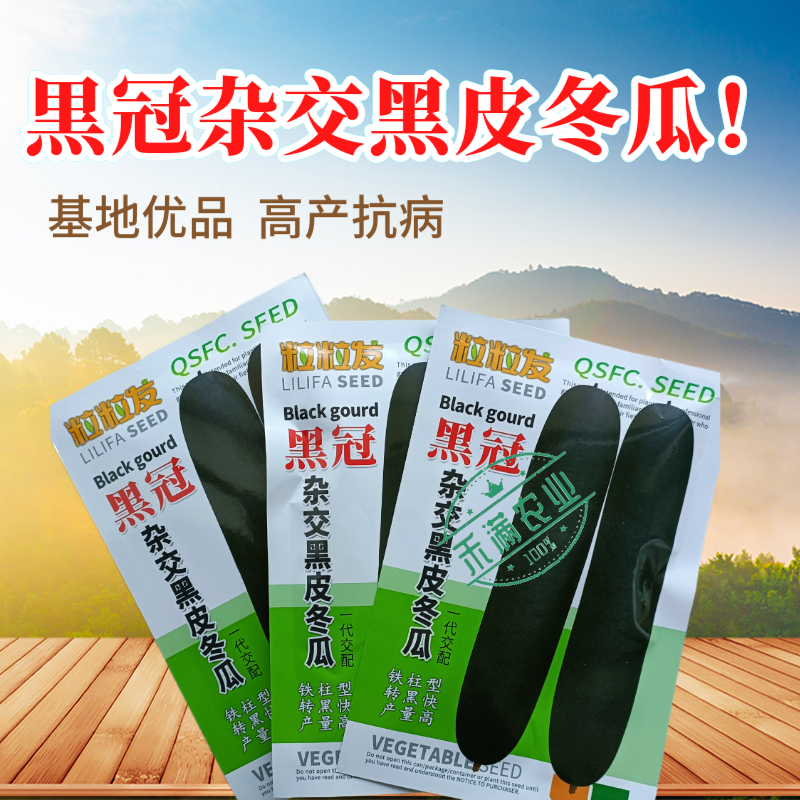 黒冠杂交黑皮冬瓜种子广东广西特大巨型高产铁柱型黑皮冬