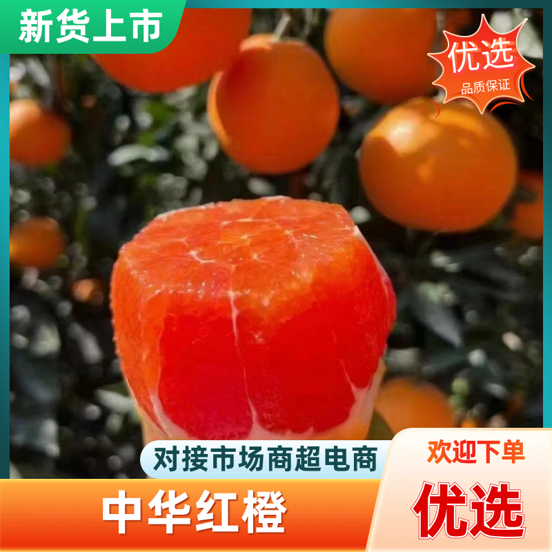 中华红橙血橙产地直供售，口感甜多汁，对接电商支持一件代发