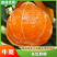 长虹脐橙供应中，个大均匀口感纯甜化渣，现摘现发支持一件代