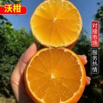 沃柑产地直供，口感甜，入口化渣果型好，现摘现卖，挂树鲜果