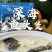 【深海鱼汤】山东烟台厂家直供质量保证资质齐全全国发货