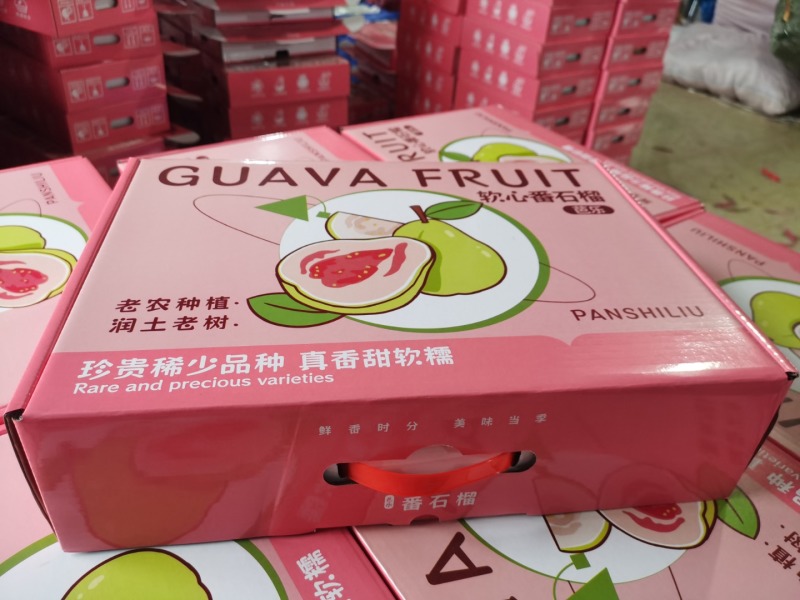 福建红心芭乐一件代发产地直发一手货源对接各大电商平台