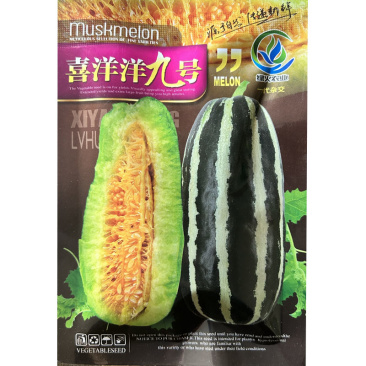 喜洋洋9号大香瓜甜瓜种籽春季四季高糖早熟羊角蜜瓜
