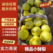 精品酥梨山西酥梨产地一手货源对接全国电商市场社区等