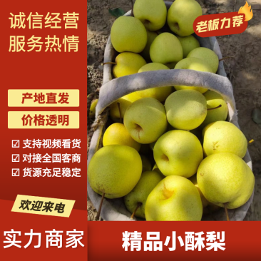 精品酥梨山西酥梨产地一手货源对接全国电商市场社区等