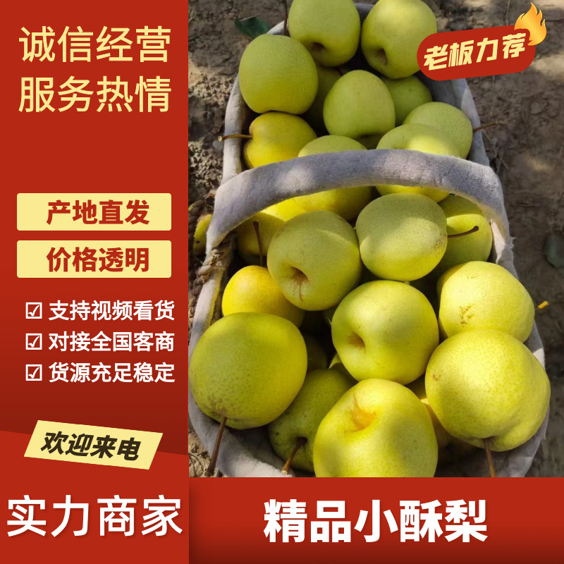 精品酥梨山西酥梨产地一手货源对接全国电商市场社区等