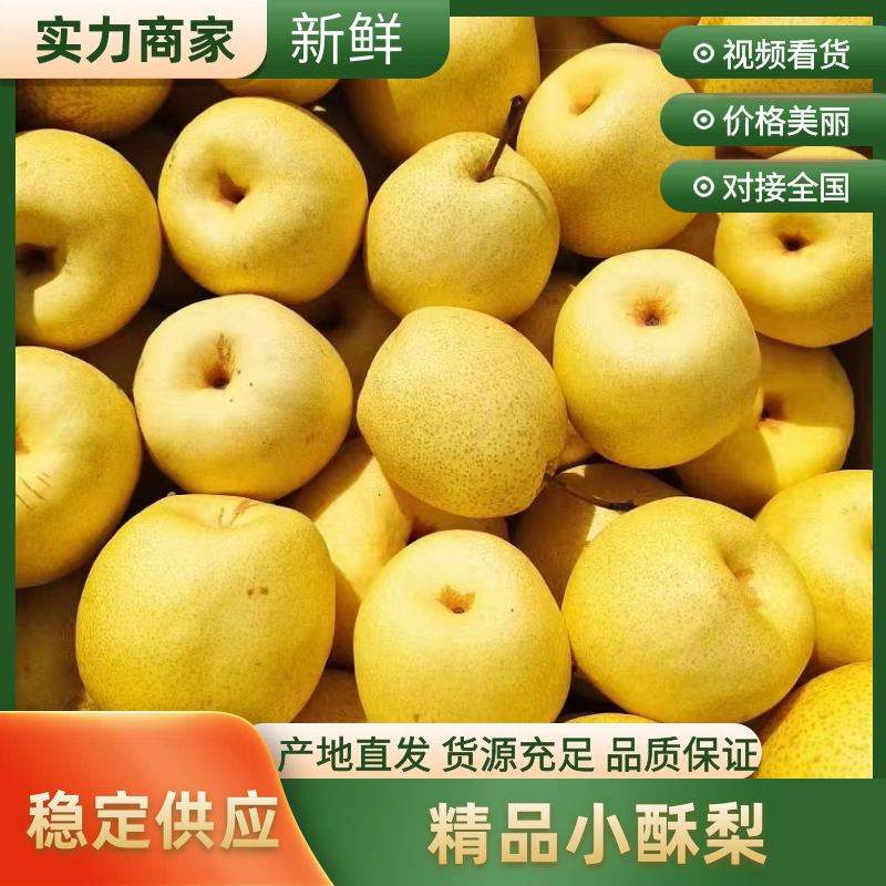 酥梨山西酥梨脆甜多汁品质保障对接全国商超市场等