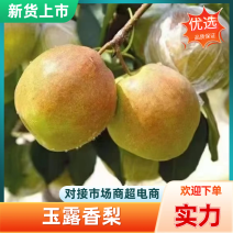 山西玉露香梨产地直发口感脆甜对接电商社区团购一件代发