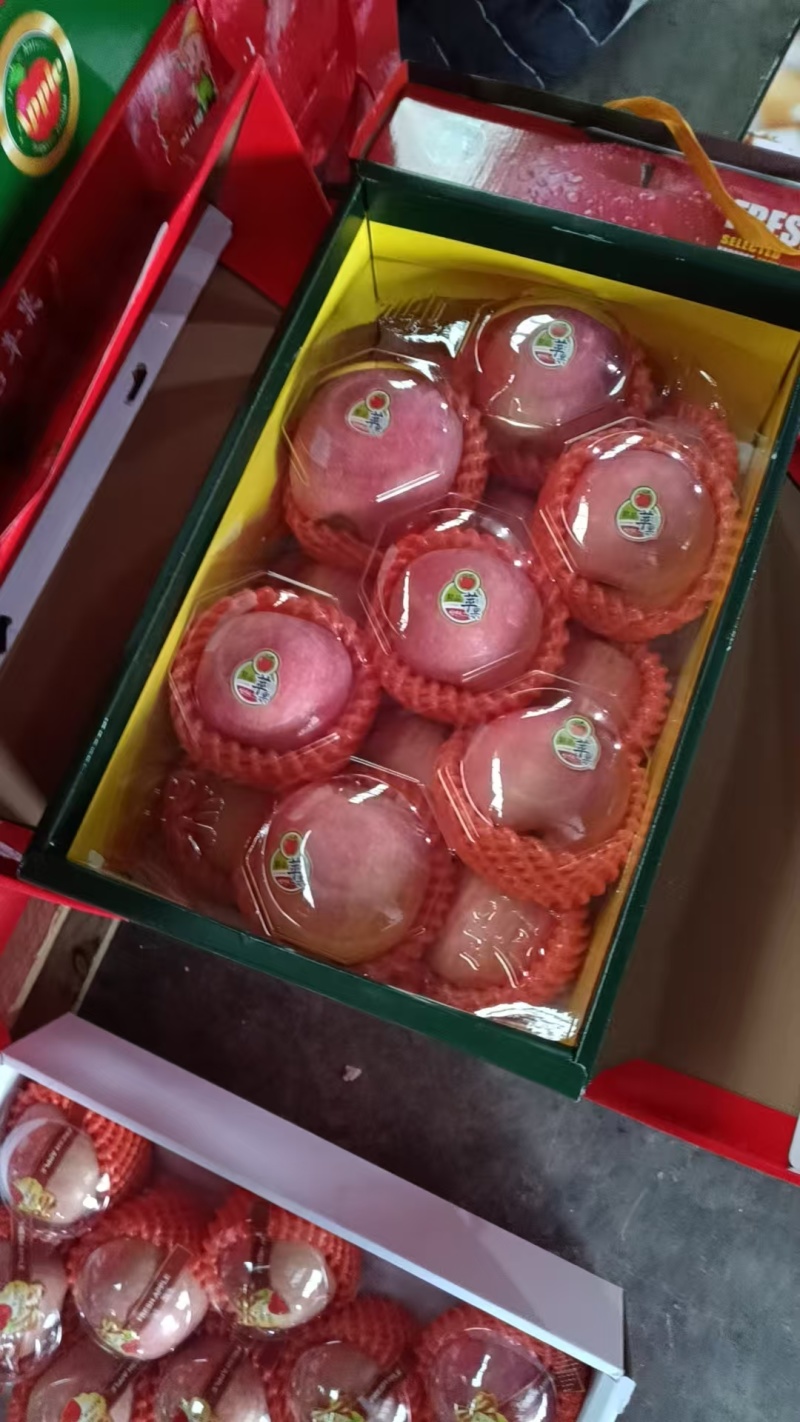 红富士苹果批发价格低临沂苹果保质保量现摘现发