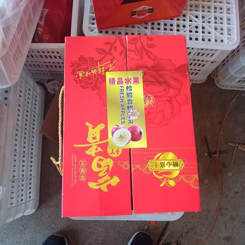 红富士苹果批发价格低临沂苹果保质保量现摘现发