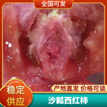 普罗旺斯西红柿，每年三月份左右大量上市到时候可以联系