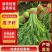 精品蒿子杆产地直发一手货源量大价优欢迎致电咨询