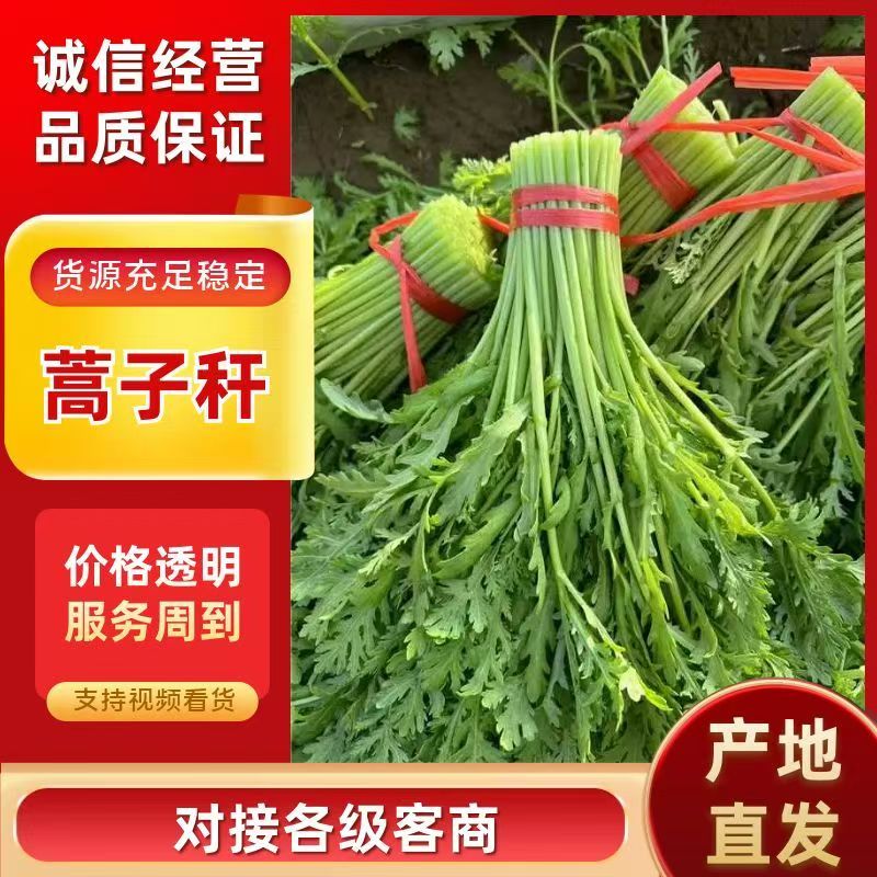 精品蒿子杆产地直发一手货源量大价优欢迎致电咨询