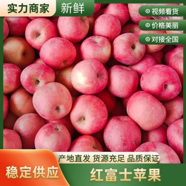 红富士苹果冰糖心苹果大量有货只做精品产地直供入口脆甜