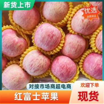 山东精品红富士苹果价格真实条纹片红脆苹果直供冰糖心