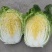 精品矮棵大白菜黄心白菜，价格美丽，需要的老板请联系