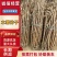 黄肉木薯种，华南9号，耐干旱抗病毒容易种活，茎杆苗。