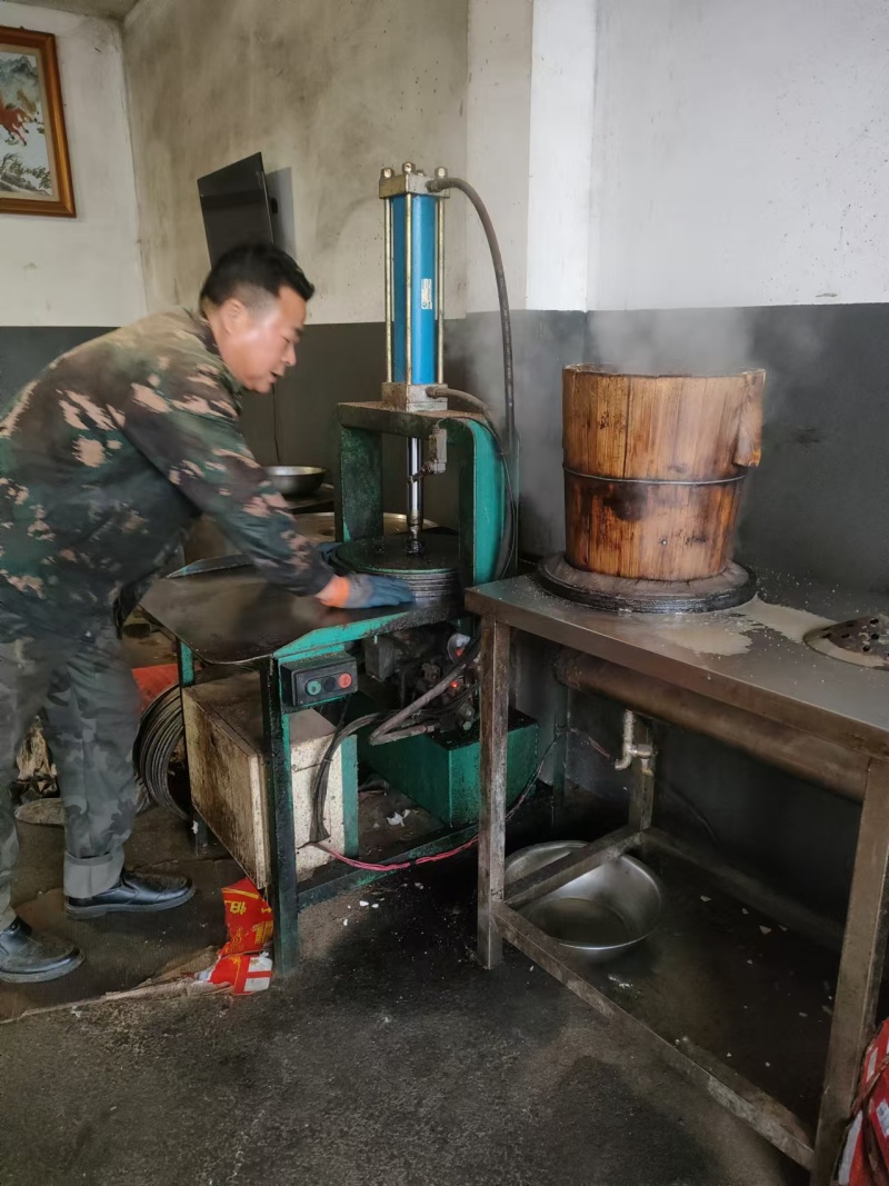 山茶油一手货源保质保量供货批发零售