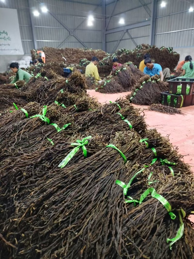 干豆角保质保量供货价钱实惠可以视频看货