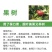 葆力素硫酸钾钙镁中量元素肥料