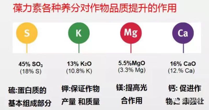 葆力素硫酸钾钙镁中量元素肥料