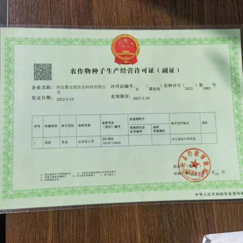 {诚信商家}糯高粱种子，存活率高，技术指导，量大从优，
