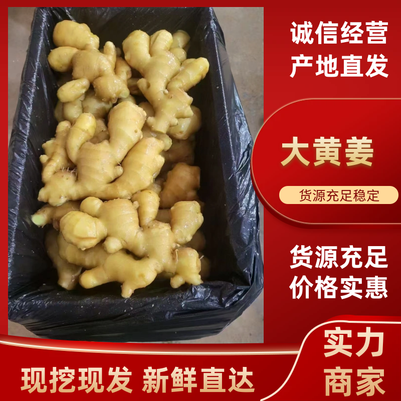 山东生姜小黄姜大黄姜品种齐全（辣味足块头大）发全国