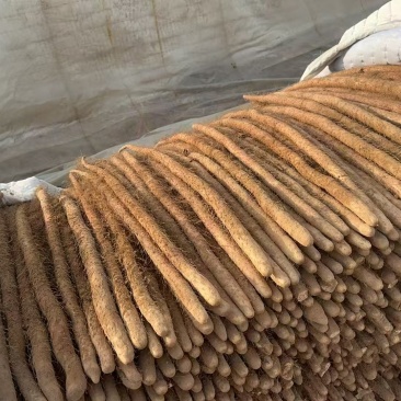 精品红皮山药产地直发大量有货感兴趣的老板可以电话沟通