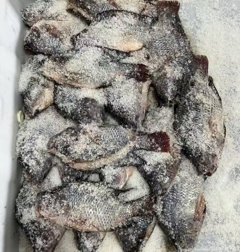咸淡水罗非鱼干