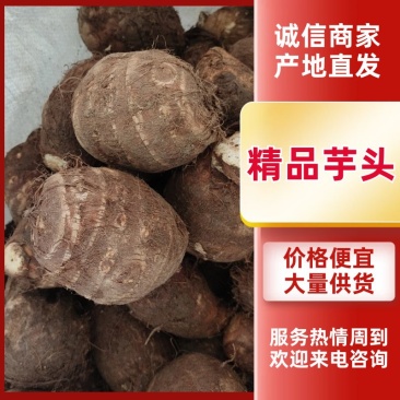 精品毛芋头一手货源产地直发量大从优质量保证欢迎咨询