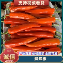 广东湛江红线椒红尖椒，皱皮椒、一手货源对接全国电商市场