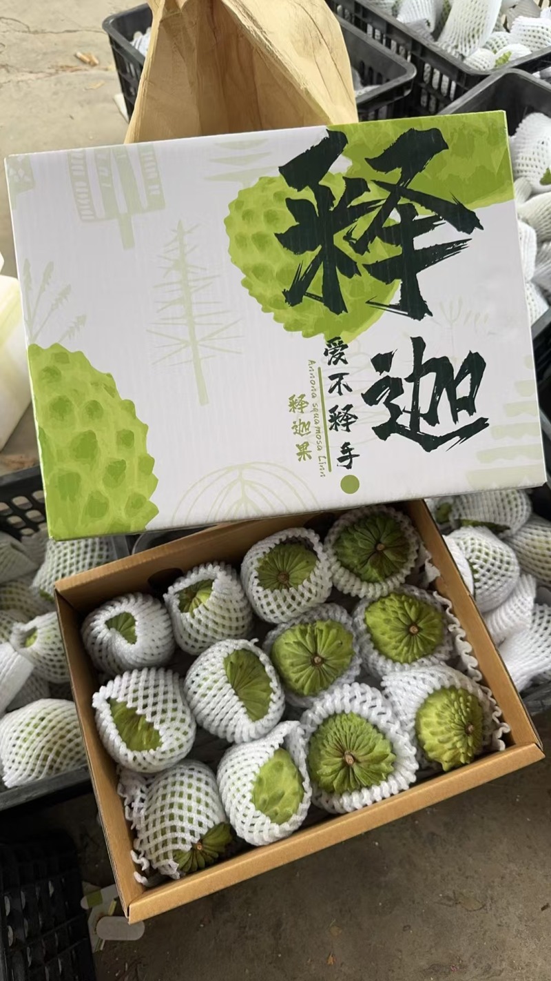 云南凤梨释迦一件代发产地直发一手货源对接各大电商平台