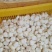 毛马蹄诚信经营大量上市保质保量欢迎咨询