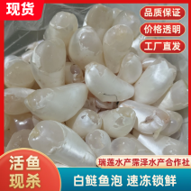 白鲢鱼泡鱼肚鱼鳔全国发货质量保证欢迎下单