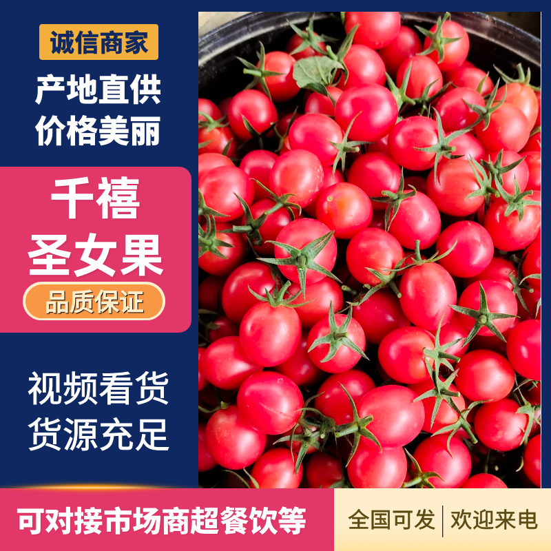 【精品】百色千禧圣女果精选大果质量好口感佳一件代发